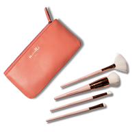Set de pinceaux